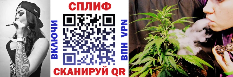 Бошки марихуана планчик  Киров 